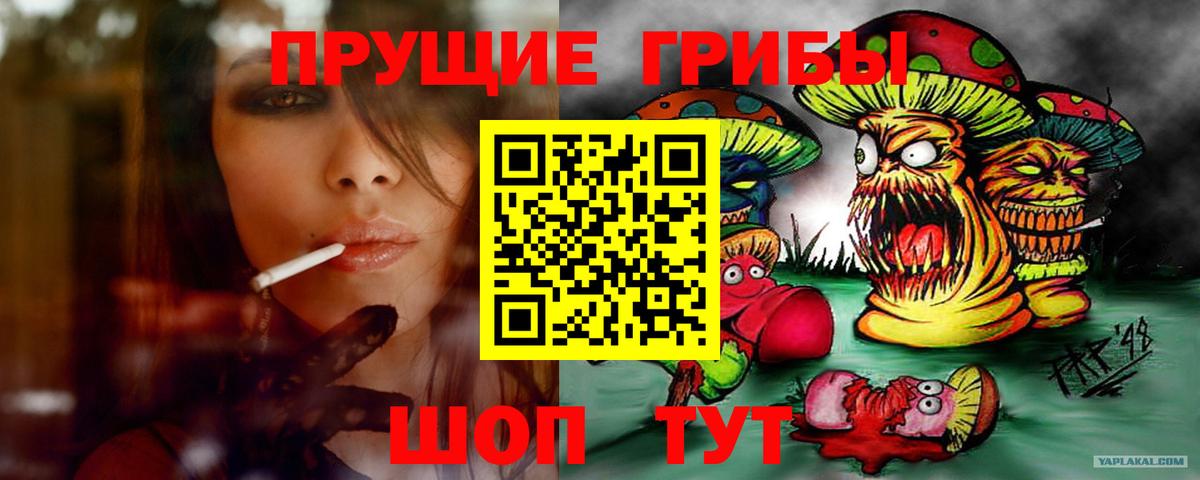 Псилоцибиновые грибы прущие грибы Гусиноозёрск