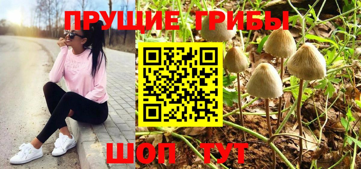 Гусиноозёрск  Галлюциногенные грибы прущие грибы  Вход с VPN  Псилоцибиновые грибы MAGIC MUSHROOMS 